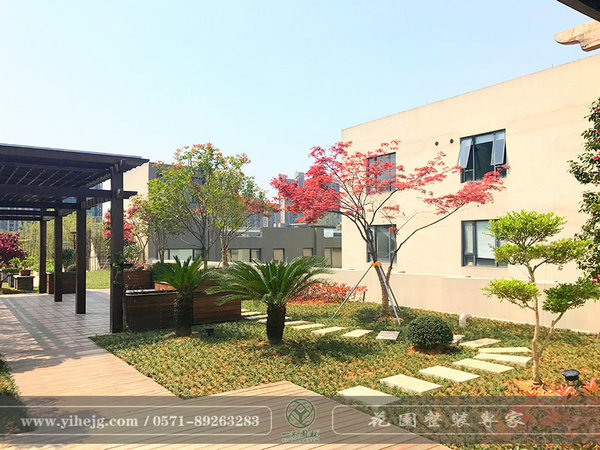 我有一方屋頂露臺(tái),盛載悠然流年